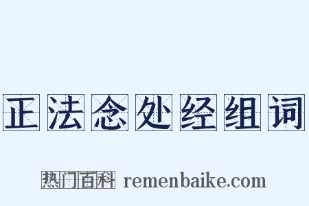 正法念处经组词是什么意思的图片